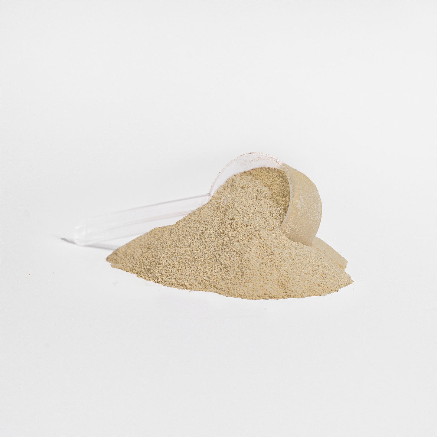 Whey Protein - Vanilla Bean